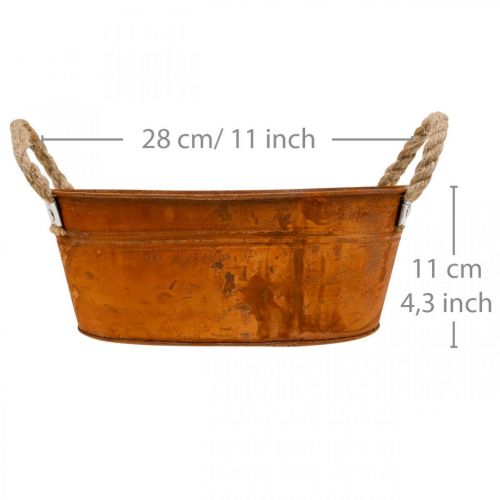 Floristik24 Květináč s uchy, miska na bylinky, podzimní dekorace, patina L28cm V11cm