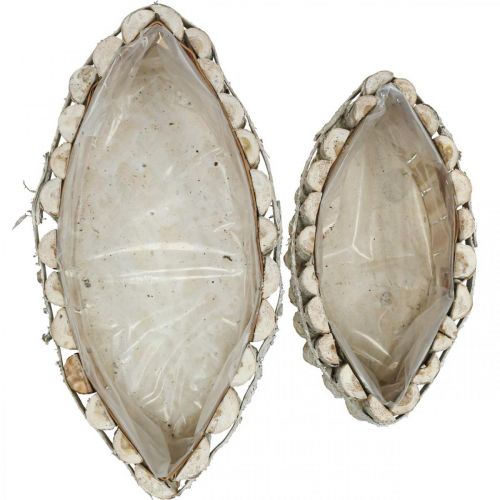 Floristik24 Miska na rostliny, dřevěný truhlík na rostliny, žardiniéra L37,5/28cm H10/9cm sada 2ks