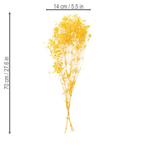 položky Kytice sušených květin s dětským dechem. Dekorativní kvetoucí větvičky vhodné pro sezónní dekoraci stolu. 70 cm