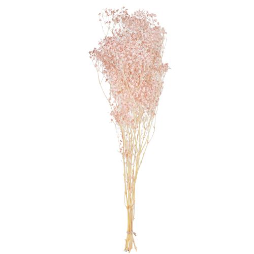 položky Gypsophila Dekorace Orange Sušené trávy Broskev 65-70cm 100g