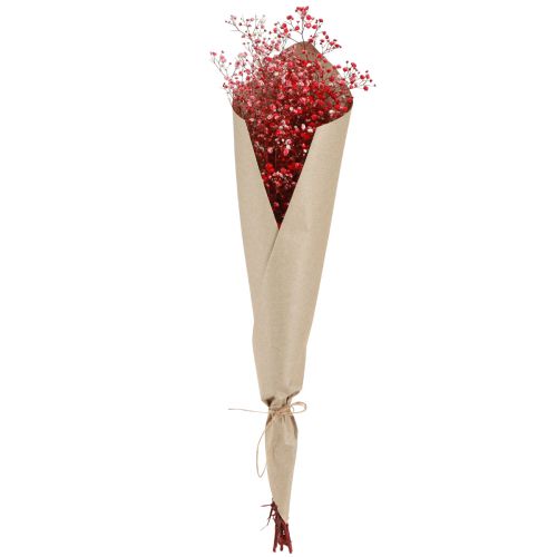 položky Gypsophila Gypsophila sušené květy červené 50cm 55g