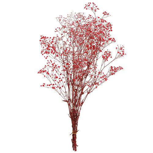 položky Gypsophila Gypsophila sušené květy červené 50cm 55g