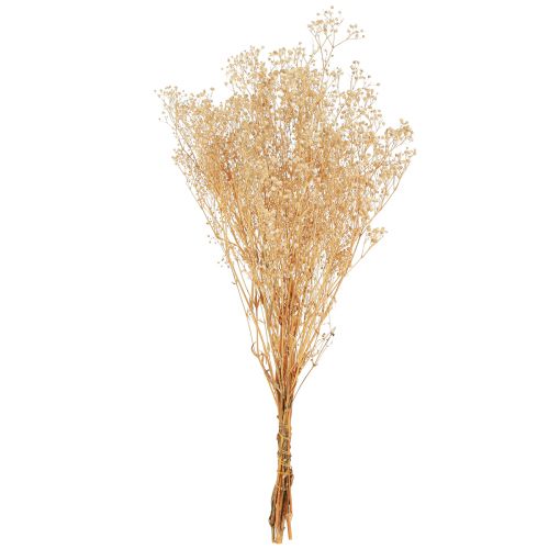 položky Gypsophila Pansy Gypsum Herb Bílé květy 50cm 55g
