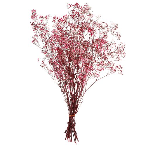 položky Gypsophila paniculate sádrovec bylina v bobule L50cm 55g