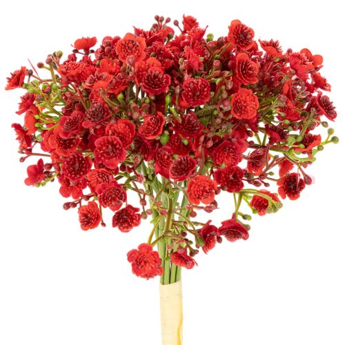 Umělý dětský dech, červený, kytice jako květinová dekorace, 30 cm, 10 kusů