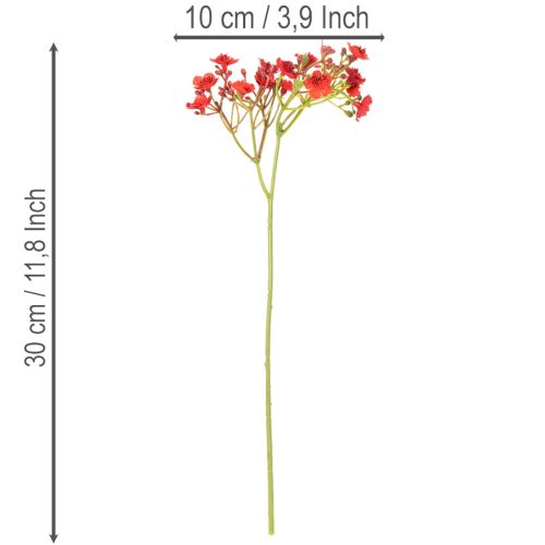 Umělý dětský dech, červený, kytice jako květinová dekorace, 30 cm, 10 kusů | Floristik24.cz