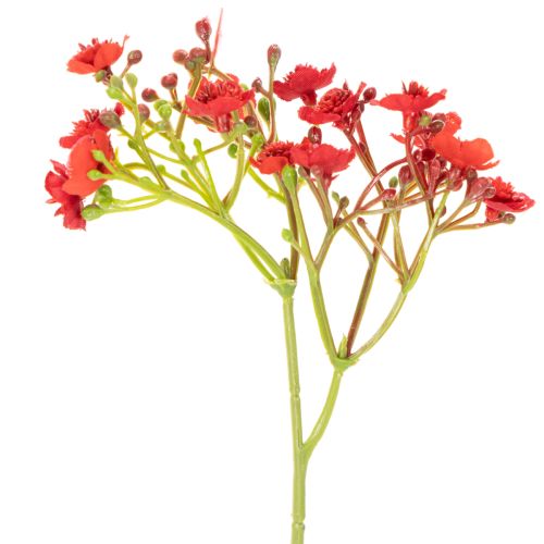 Umělý dětský dech, červený, kytice jako květinová dekorace, 30 cm, 10 kusů | Floristik24.cz