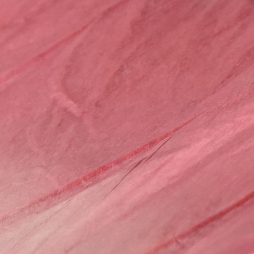 položky Velká závěsná dekorace motýlů, elegantní nástěnná dekorace, 50 cm, 2 kusy