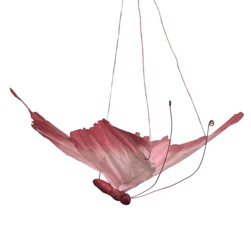 položky Velká závěsná dekorace motýlů, elegantní nástěnná dekorace, 50 cm, 2 kusy