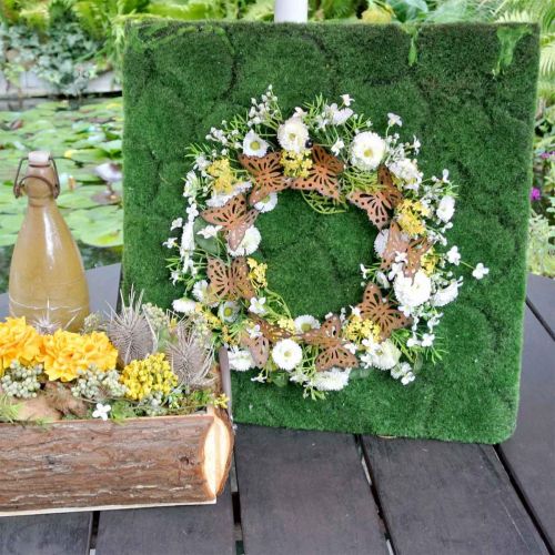 Floristik24 Motýlí dekorace, jarní dekorace k zavěšení, věnec, patina Ø30cm 2ks