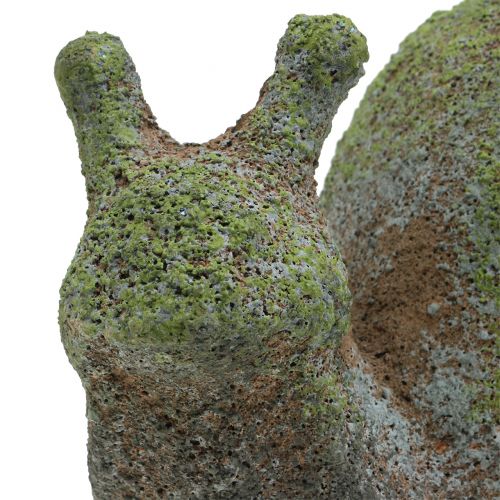 Floristik24 Zahradní figurka šnek mechový 31cm x 17cm H17cm