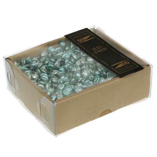 Floristik24 Šnečí škeble modrozelené 500g