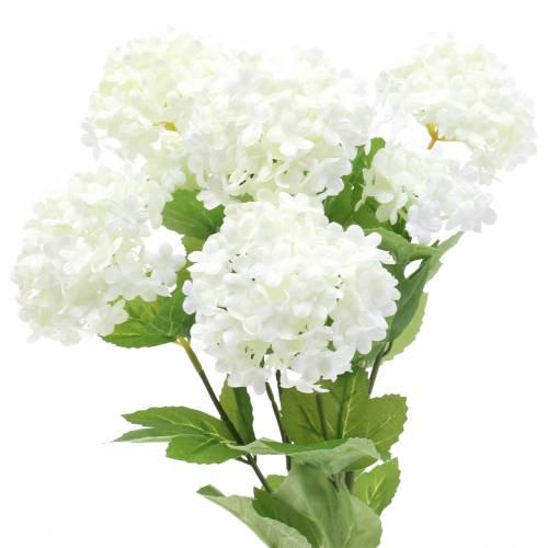 Floristik24 Sněhová koule Viburnum Branch White 42,5 cm