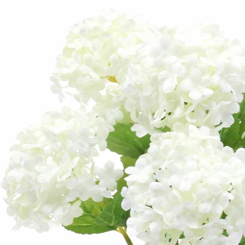 Floristik24 Sněhová koule Viburnum Branch White 42,5 cm