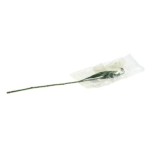 Floristik24 Sněženka L48cm pokrytá sněhem