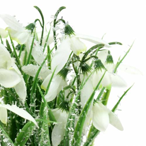 položky Sněženky v matném květináči 25 cm