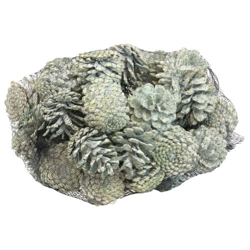 položky Černé šišky zelená matná přírodní dekorace 5–7cm 1kg