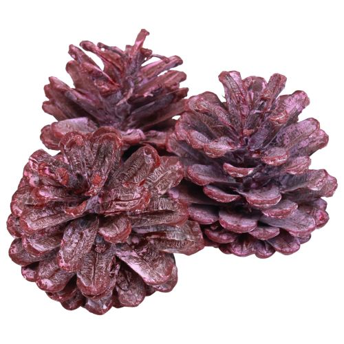 položky Černé šišky červená přírodní dekorace matná 5–7cm 1kg