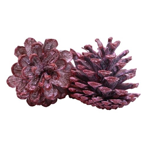 položky Černé šišky červená přírodní dekorace matná 5–7cm 1kg