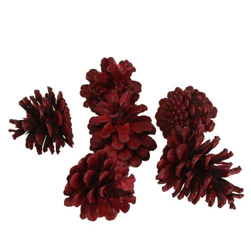 položky Černé šišky Bordeaux ozdobné šišky červené 6-8cm 6 ks