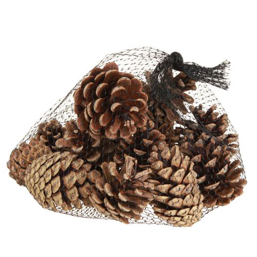 položky Černé šišky přírodní dekorativní šišky 5-8cm 250g