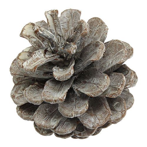 položky Šišky černé 5-9cm Bílé prané 1kg