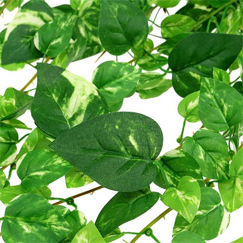 Floristik24 Scindapsus úponek umělý 90cm