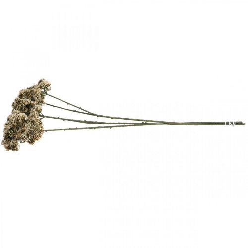 položky Sedum umělá květina sedum krémová květinová dekorace podzimní 70cm 3ks