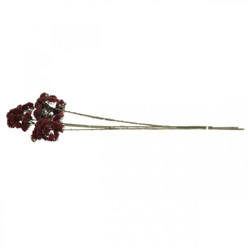 Floristik24 Sedum umělý červený rozchodník podzimní dekorace 70cm 3ks
