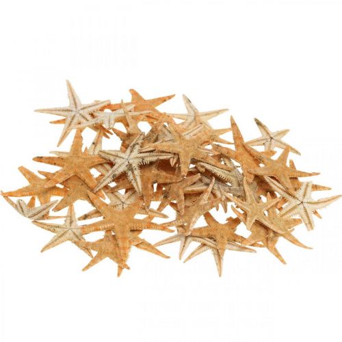 položky Hvězdice rozptylová dekorace home deco mini hvězdice příroda 2-4cm 50p