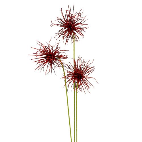 Floristik24 Hedvábné květy Xanthium Bordeaux 64cm 4ks