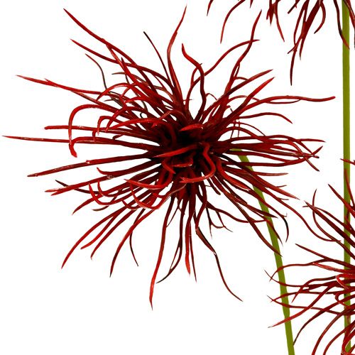 Floristik24 Hedvábné květy Xanthium Bordeaux 64cm 4ks