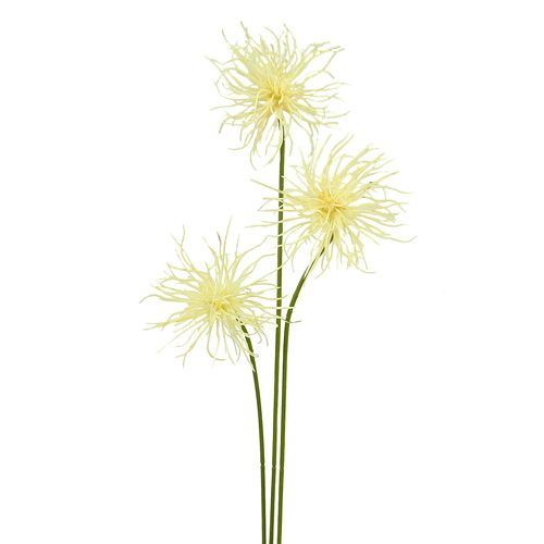 Floristik24 Hedvábné květy xanthium krém 63cm 4ks