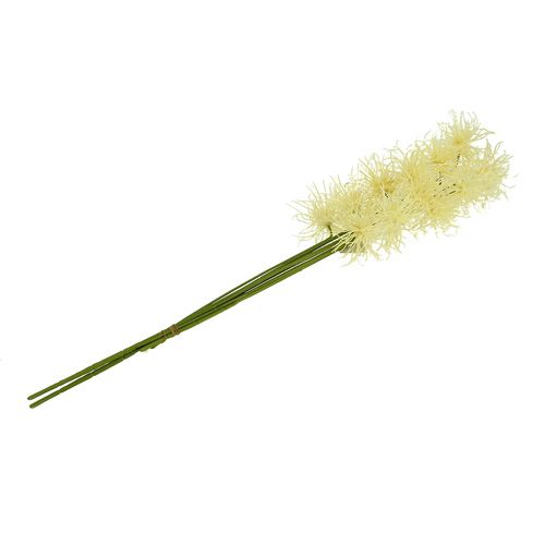 Floristik24 Hedvábné květy xanthium krém 63cm 4ks