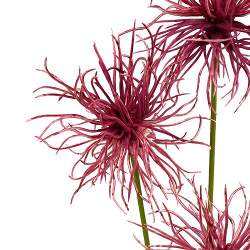 Floristik24 Hedvábné květy Xanthium vřes 63cm 4ks