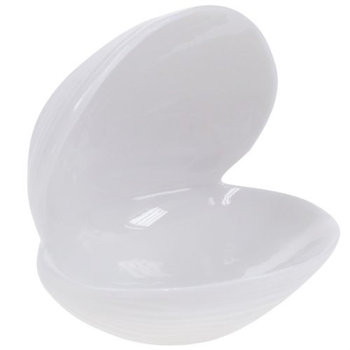 Floristik24 Skořepina misky na mýdlo 12 cm x 10,5 cm x 11 cm bílá