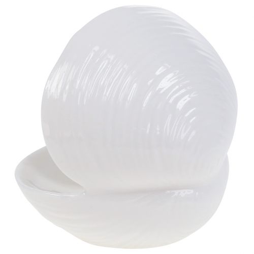 Floristik24 Skořepina misky na mýdlo 12 cm x 10,5 cm x 11 cm bílá