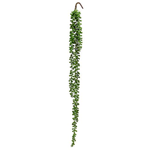 Floristik24 Senecio věšák 75cm zelený