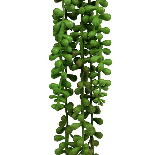 Floristik24 Senecio věšák 75cm zelený
