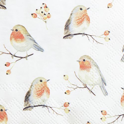 Floristik24 Ubrousky podzimní Robin Rose Hips 25x25cm 20 ks