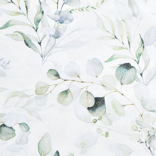 Floristik24 Ubrousky motiv eukalyptus bílá zelená 33x33cm 20 ks