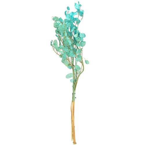 položky Sušený stříbrný list Lunaria světle modrá 65-70cm 20g