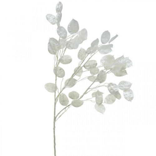 Floristik24 Ozdobná větev stříbrný list bílá Lunaria větev umělá větev 70cm