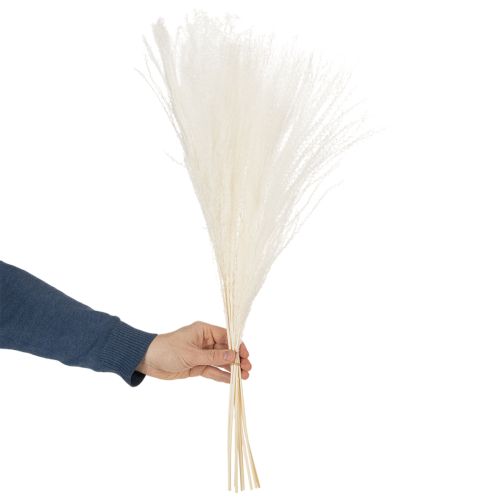 položky Sušené květiny, stříbrná tráva. Elegantní přírodní dekorace do domácnosti i kanceláře. 70 cm, 10 kusů.