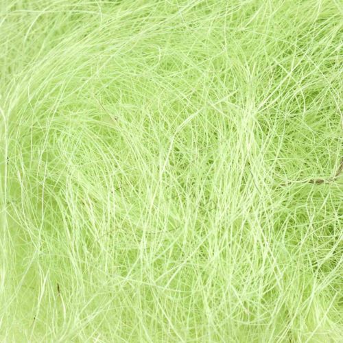 Floristik24 Sisal May Green Dekorativní přírodní vlákno Sisalové vlákno 300g