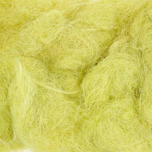Floristik24 Sisal zelené pistácie 500g