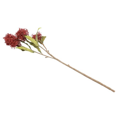 položky Skimmie Skimmia Japonica Umělé květiny Burgundsko DryLook L59cm