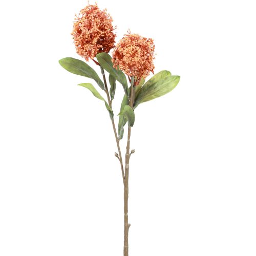 Floristik24 Skimmie Skimmia Japonica umělé květiny Orange DryLook L59cm