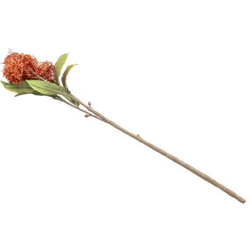 položky Skimmie Skimmia Japonica umělé květiny Orange DryLook L59cm