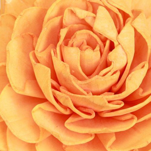 položky Sola dřevěné květiny dekorativní dřevěné květiny mix oranžová 6-11cm 12-15 ks
